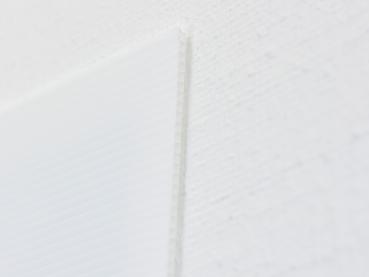 Hohlkammerplakat A0 Sonderformat mit Weißrand